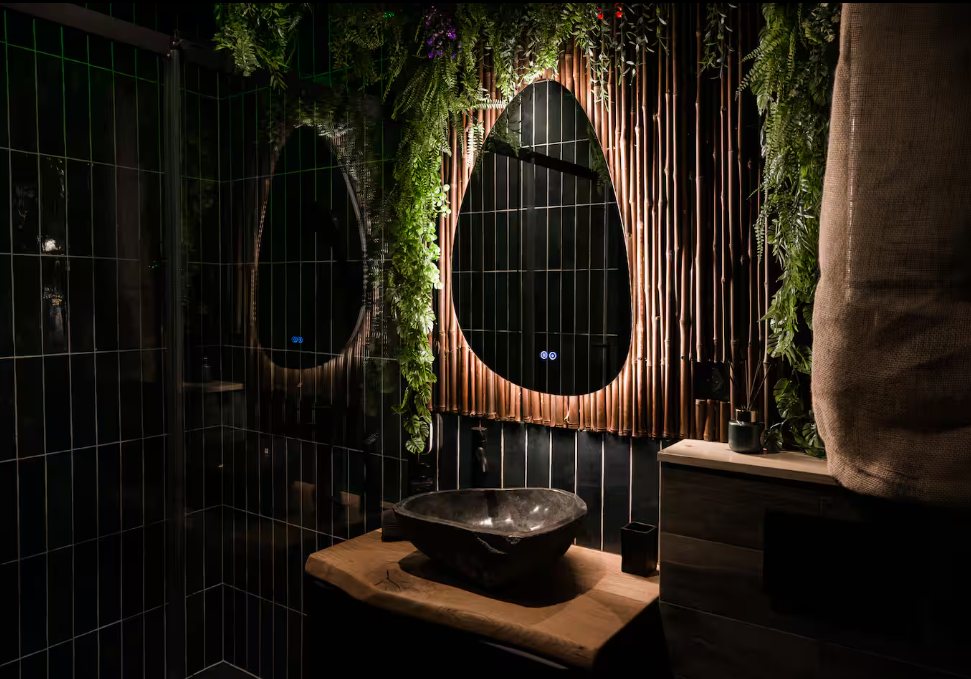 Salle de bains sombre : deux miroirs ovales rétroéclairés, vasque en pierre et plantes suspendues